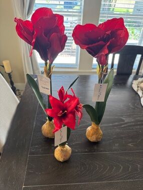 Red Silk Amaryllis Flowers a set of 3